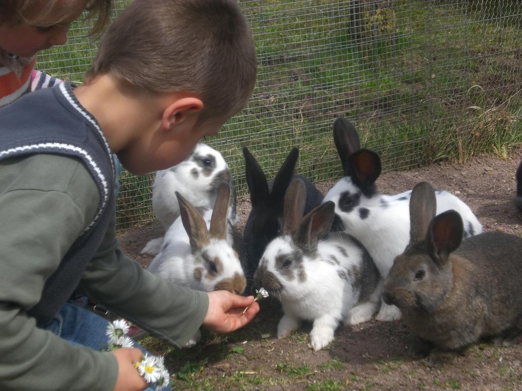 Schoetzerhof Meltina Zewnętrze zdjęcie